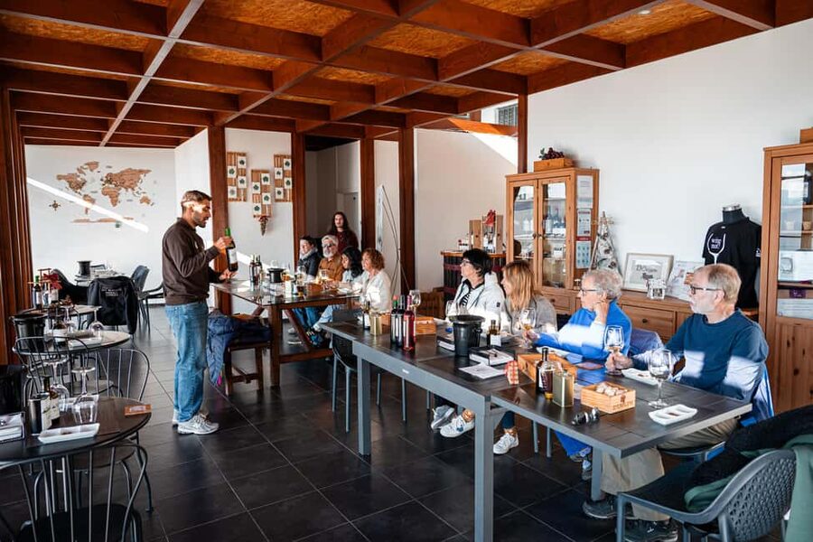 Porto: Douro Wine Tour with Lunch and River Cruise - Who should book this Douro tour from Porto