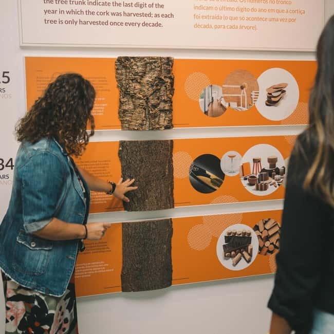 Porto: Entry Ticket at WOW - Planet Cork Museum - Interactive Exhibits and Multimedia: Learning Without the Lecture Tone