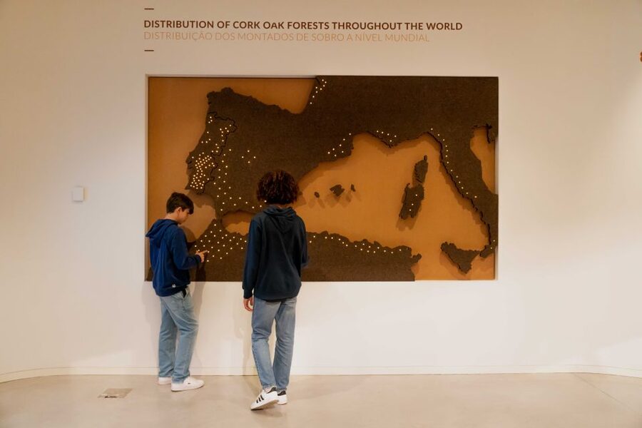Porto: Entry Ticket at WOW - Planet Cork Museum - Make Your Own Cork Stopper: The Best Take-Home Moment