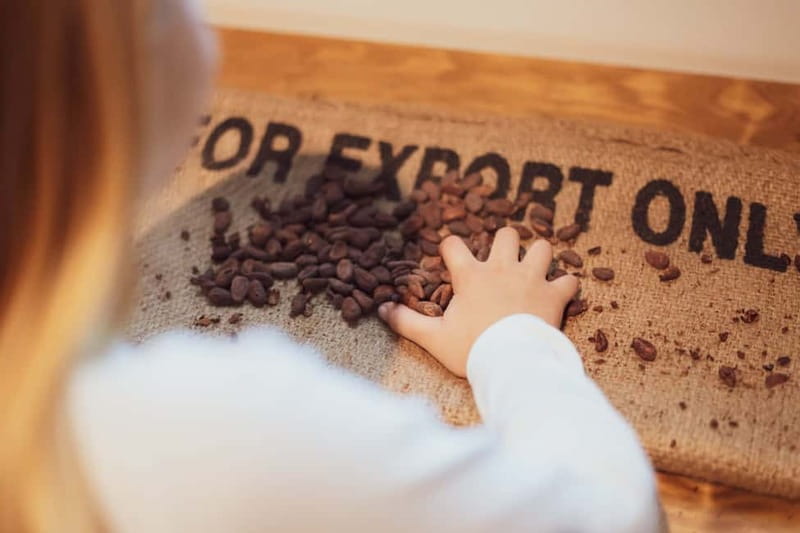 Porto: Entry Ticket at WOW The Chocolate Experience by 20|20 - The chocolate history route: sacred cacao to a global habit