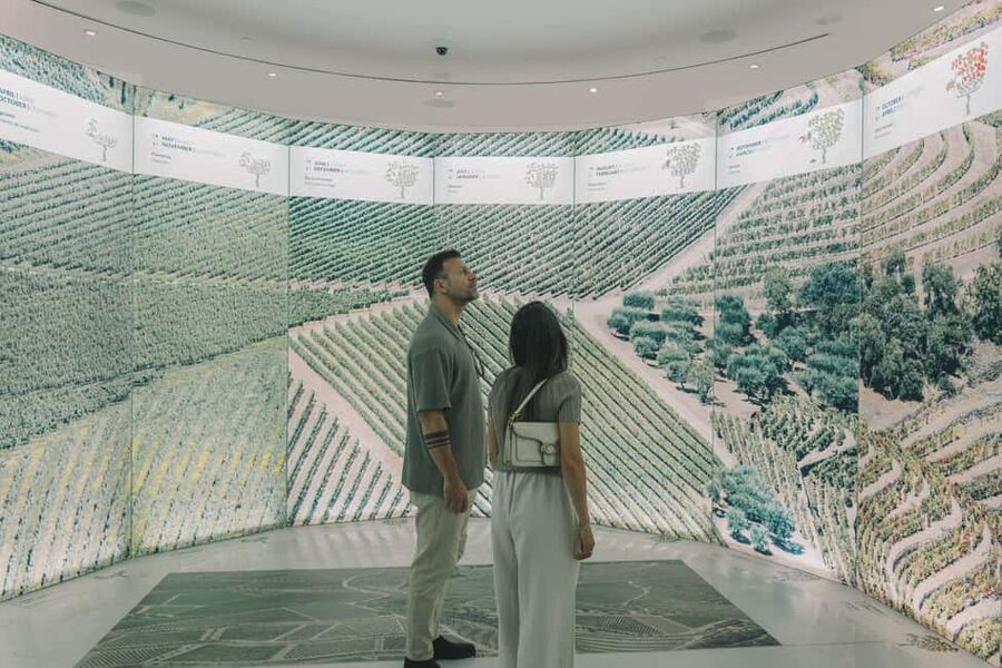 Porto: Entry Ticket at WOW - The Wine Experience Museum - Best for whom: who will enjoy WOW most