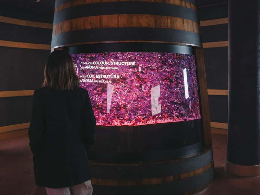 Porto: Entry Ticket at WOW - The Wine Experience Museum - Timing and how long you should plan for