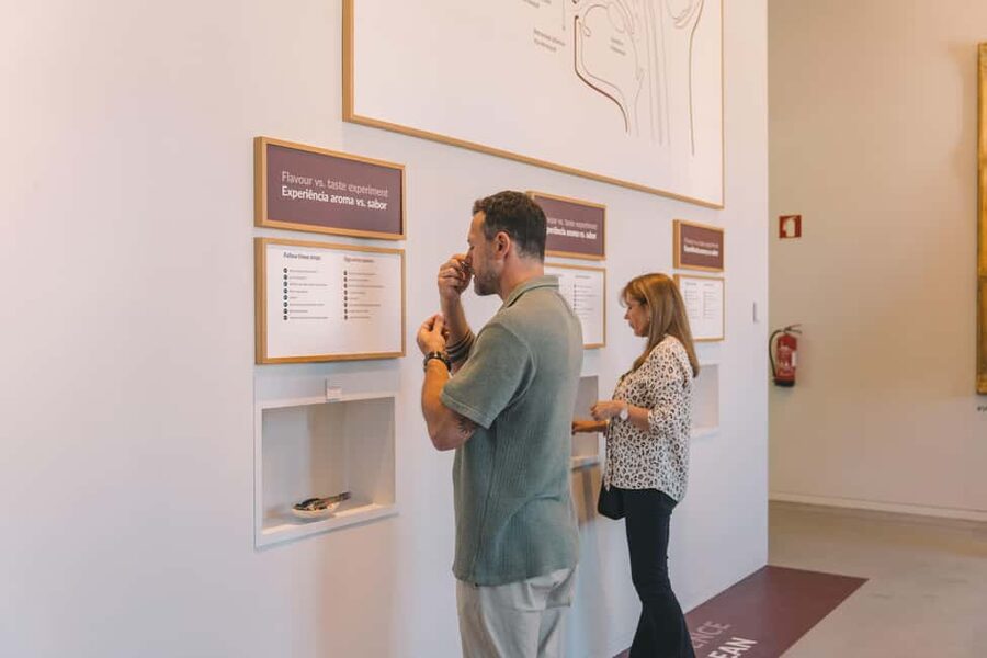Porto: Entry Ticket at WOW - The Wine Experience Museum - The museum path: grape, soil, climate, and fermentation
