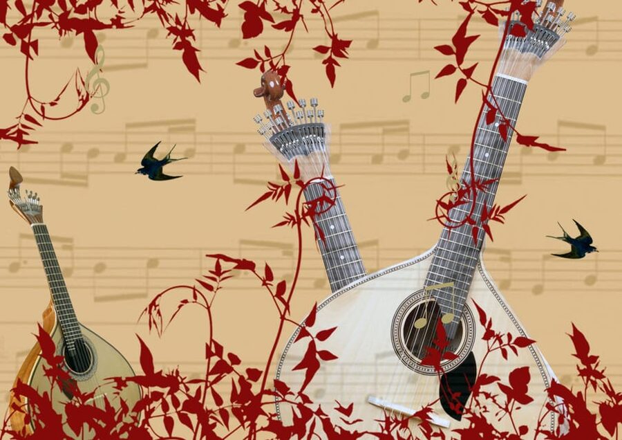 Porto: Fado Show with Dinner in a Traditional Fado House - Who This Porto Fado Dinner Show Is Best For