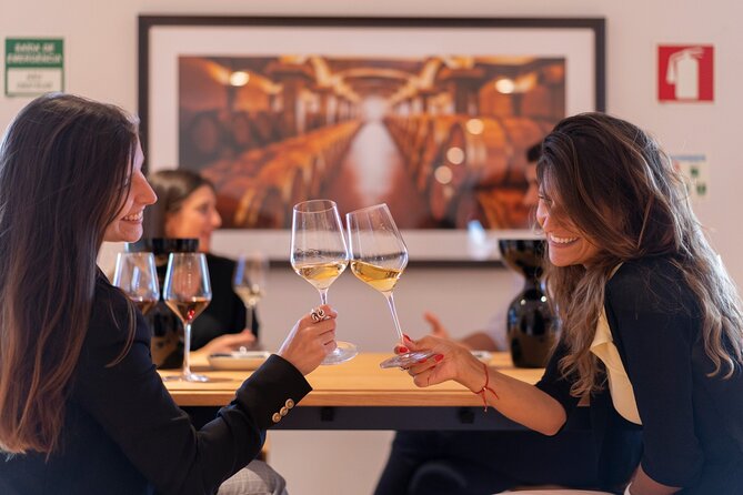 Porto: Flavours of Portugal – Wine Tastings at WOW Wine School - Who this tour suits best