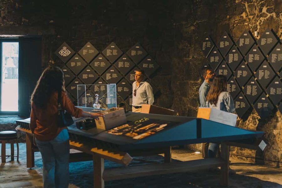 Porto: Fonseca Cellar Tour & WOW Museum Pack - WOW Cultural District in Vila Nova de Gaia: Museums with a real point