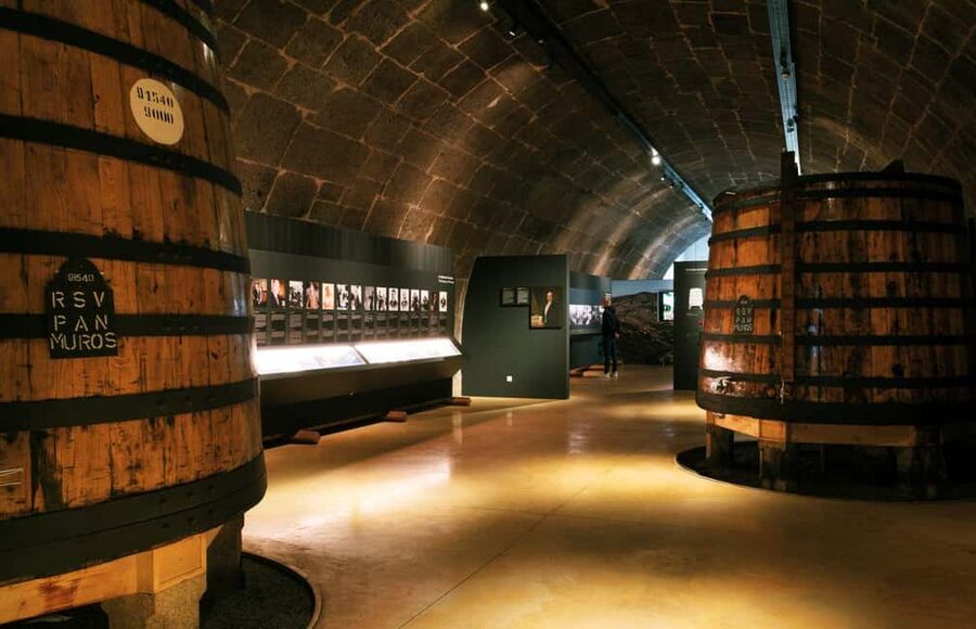 Porto: Fonseca Cellar Tour & WOW Museum Pack - How to plan your day across Porto and Gaia