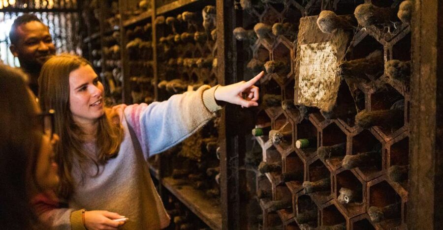 Porto: Food & Wine Tasting Walking Tour with Port Wine Cave - Starting at Jardim do Morro, then walking with a plan