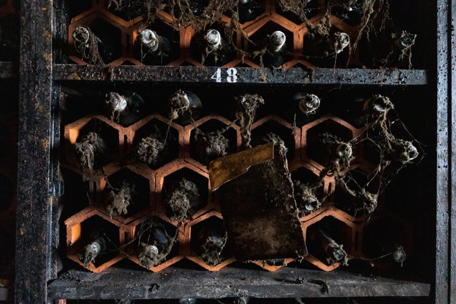 Porto: Food & Wine Tasting Walking Tour with Port Wine Cave - More wine, beer, and water, plus how the pairings help