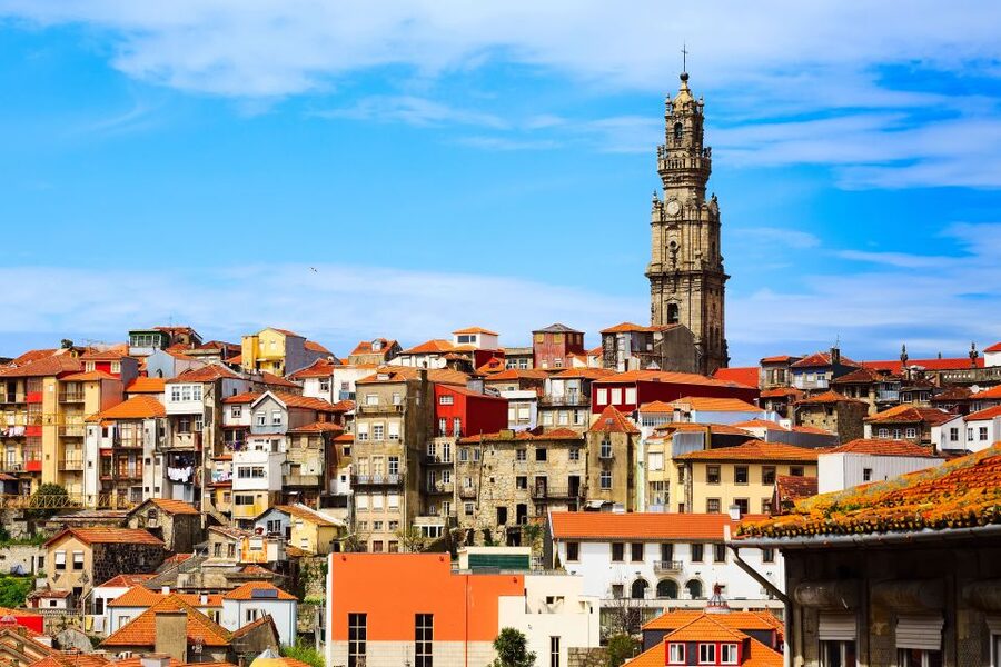 Porto: Full-Day All-Inclusive Private City Sightseeing Tour - The six-bridges cruise, the most Porto-shaped moment