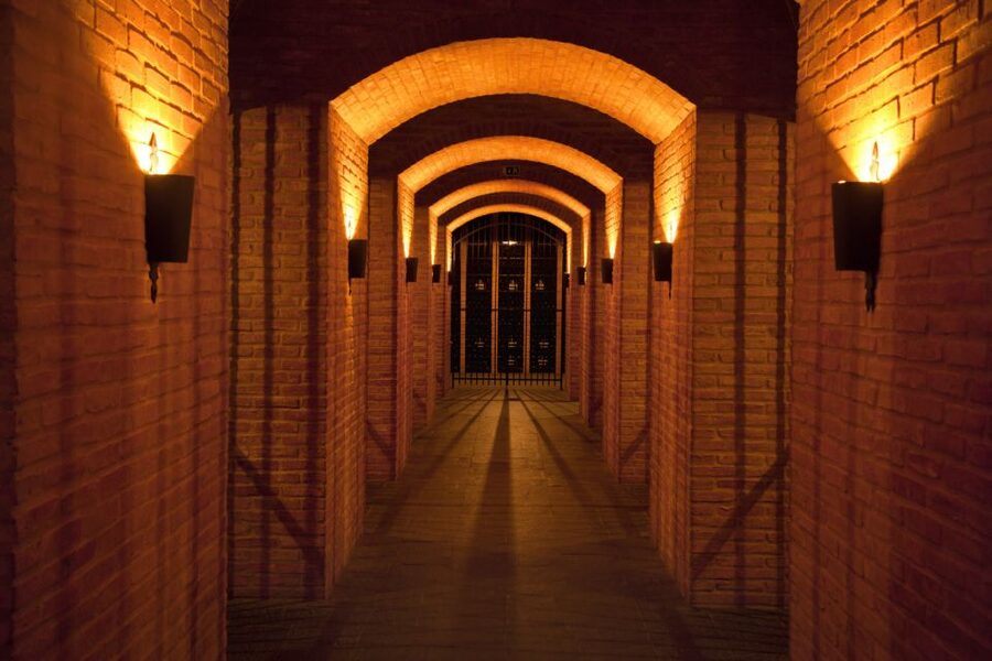 Porto: Graham's Port Lodge Tour with Premium Wine Tastings - The 1890 lodge: a working cellar you can actually picture