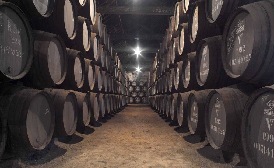 Porto: Graham's Port Lodge Tour with Premium Wine Tastings - How Port is made, without turning it into a lecture
