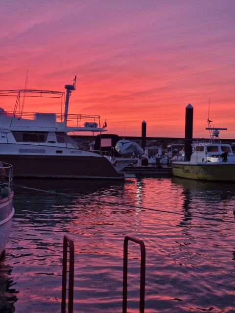 Porto: Guide Boat tour with tasting of 4 Port wines - Why this Douro sunset cruise works better than sightseeing on land