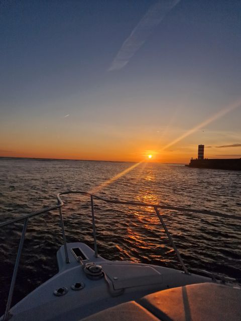 Porto: Guide Boat tour with tasting of 4 Port wines - Marina da Afurada, 2 hours, and how to plan your timing