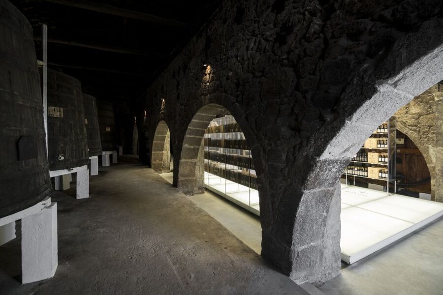 Porto: Guided City Walking Tour & Port Wine Cellar - Key things to know before you go