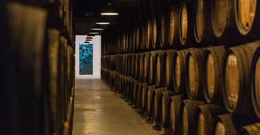 Porto: Guided Tour and Tasting of 3 Port Wines at Poças - Douro Valley basics: how the guide turns Port into something you can explain