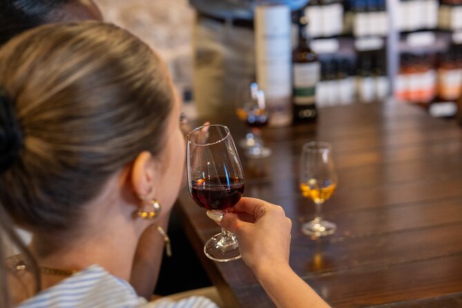 Porto Half-Day Guided Historical Tour with Port Cellar Visit and Tasting - The port cellar visit and tasting: learn, then taste two types