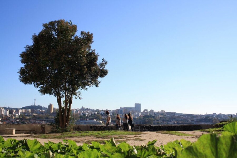 Porto: Half-Day Jewish Tour - Why Porto’s Jewish Quarter story hits harder on foot