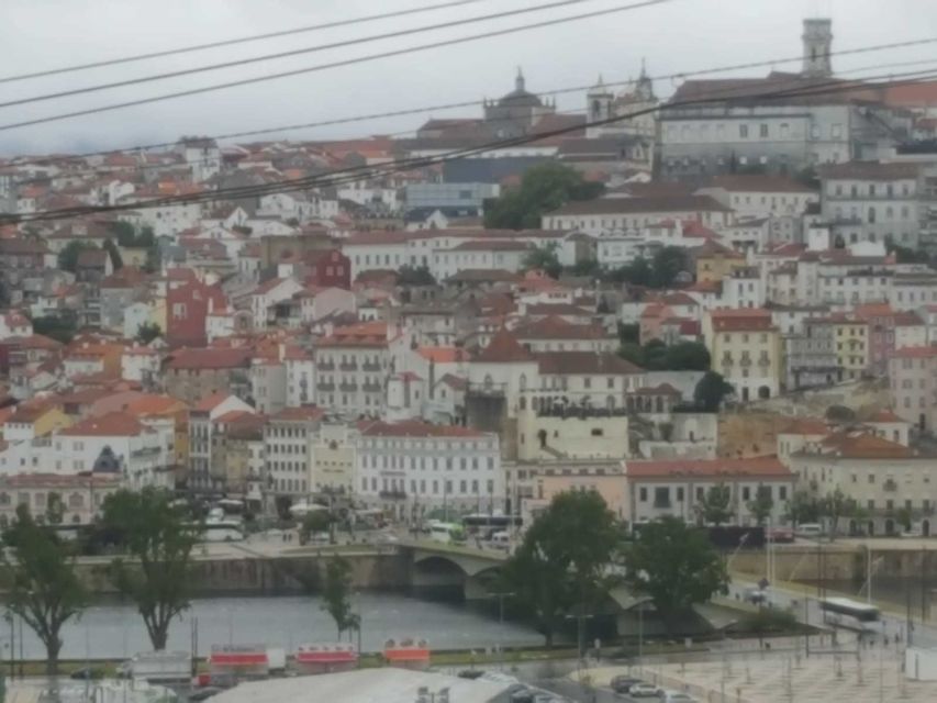 Porto: Half-Day Small Group City Tour with port wine tasting - Should you book this Porto half-day with port tasting?