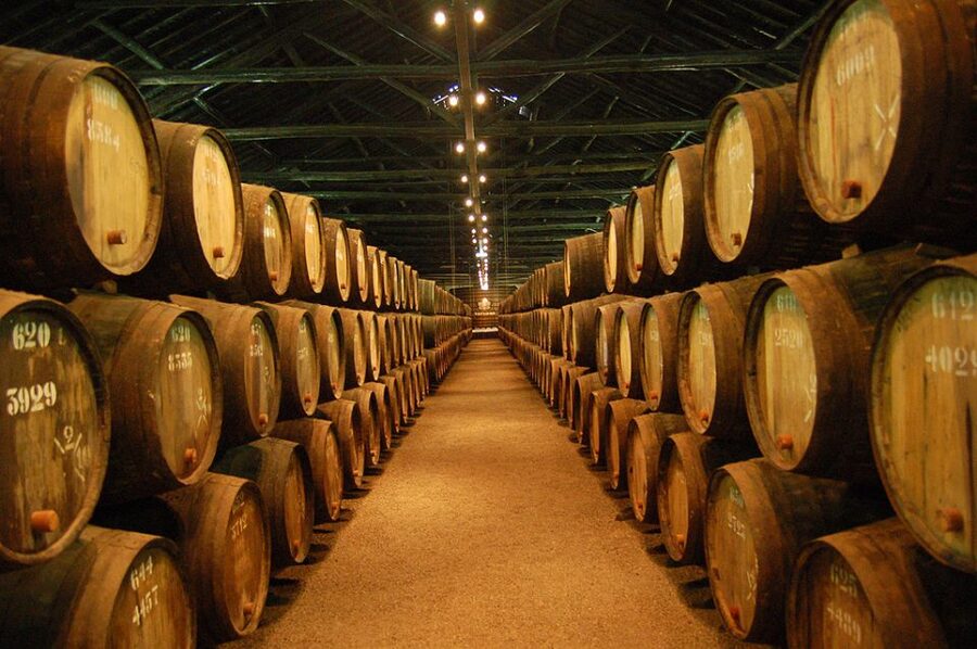 Porto: Half-Day Small Group City Tour with port wine tasting - Port wine tasting with the Burmester connection, what to focus on
