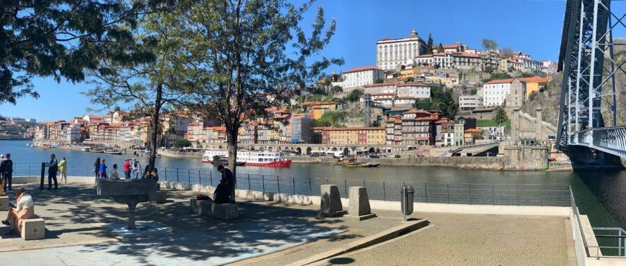 Porto: Half-Day Small Group City Tour with port wine tasting - Small-group comfort, friendly guidance, and why $89 can be fair value