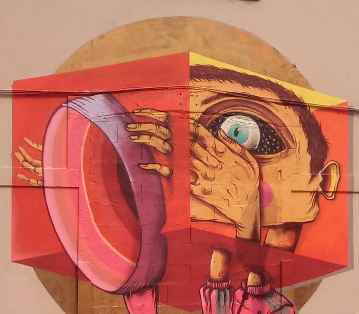Porto: Half-Day Street Art Tour - Price and value: $25 for a small-group art lesson on the street