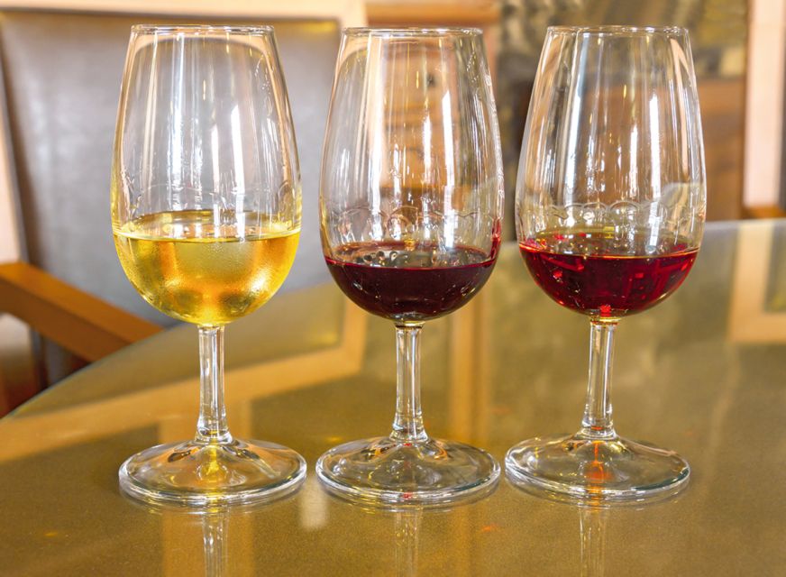Porto Half-Day Tour and Wine Tasting - Vila Nova de Gaia, the port area that makes the wine make sense