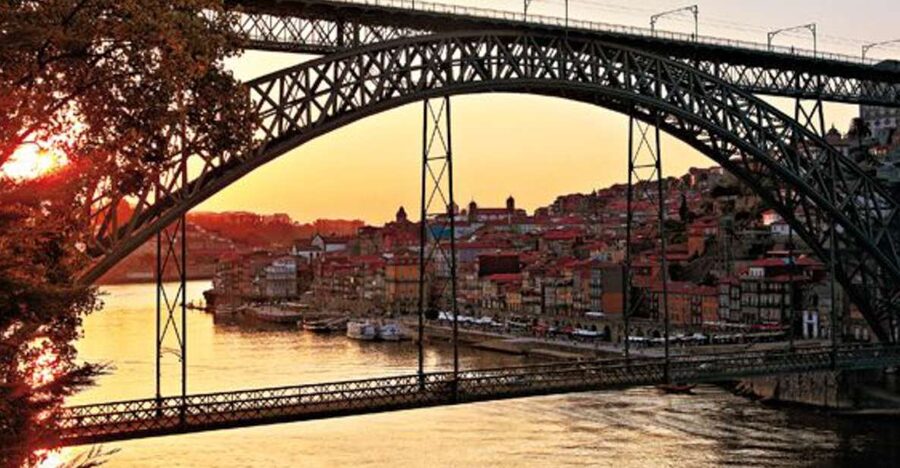 Porto Half-Day Tour & Port Wine Tasting - Who this tour suits best (and who should choose something else)