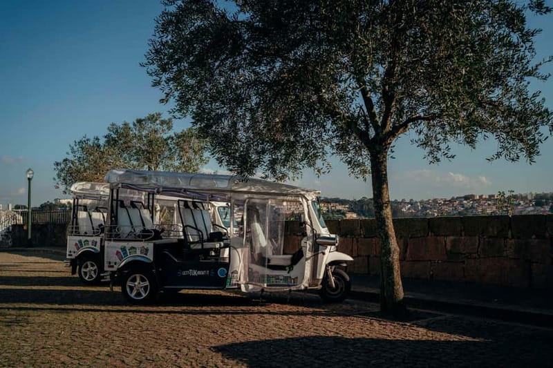 Porto Half Day Tuk Tuk Tour Clérigos, Seaside and Viewpoints - Ponte D. Luís and the Douro River ride: the engineering story you’ll remember