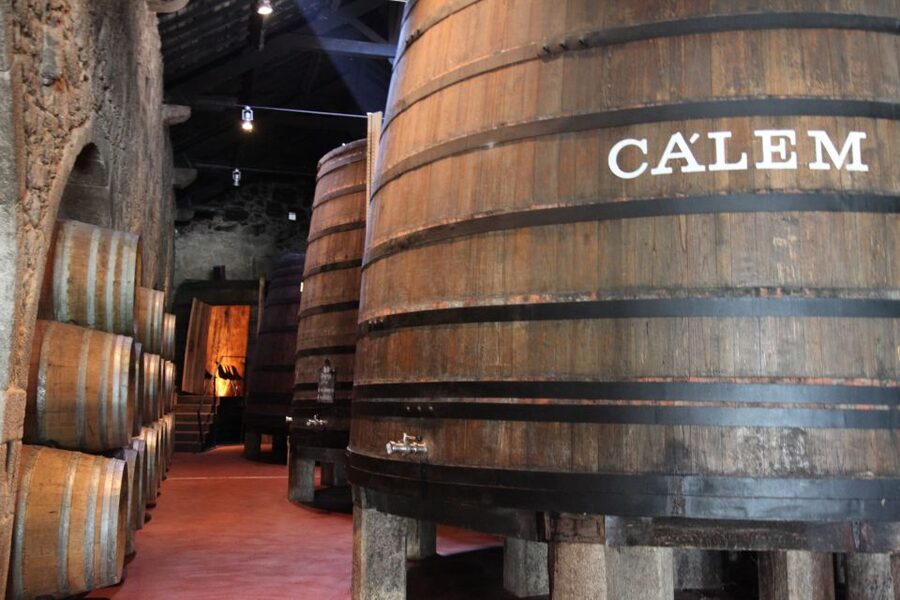 Porto: Hop-on Hop-off Bus with Optional Cruise & Wine Cellar - Gaia to the Douro, plus what the cruise adds (and what it might not)