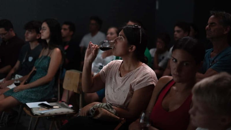 Porto: Live Fado Concert with Glass of Tawny Port Wine - Segment 2: Portuguese guitar techniques with a glass of tawny port