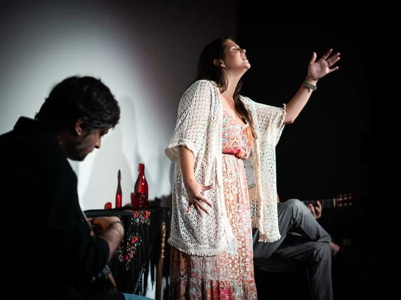 Porto: Live Fado Concert with Glass of Tawny Port Wine - Price and value: $19 with port, audio guide, and multimedia