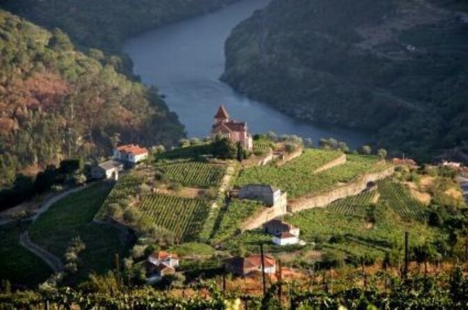 Porto: Luxury Yacht Cruise on the Douro River and Estuary Reserve - Key highlights before you sail