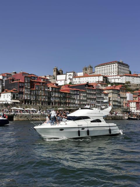Porto: Luxury Yacht Tour of the 6 Bridges and Douro Estuary - Arrábida Bridge to Jardins do Palácio de Cristal, a smooth start