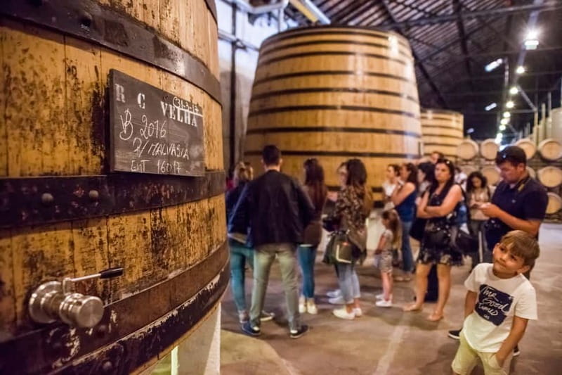 Porto: Magic Train Tour and Port Wine Cellar with Tastings - Where this Magic Train and Port Tour really works