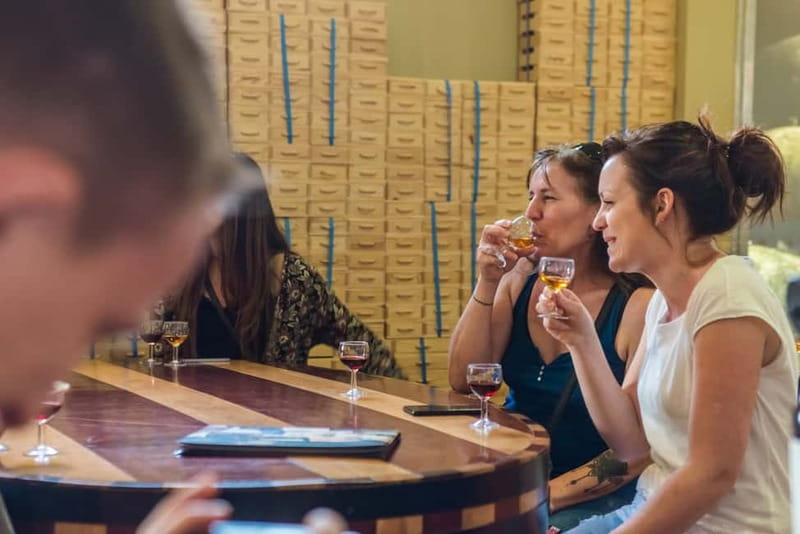 Porto: Magic Train Tour and Port Wine Cellar with Tastings - The Magic Train loop: Porto highlights without the heavy walking