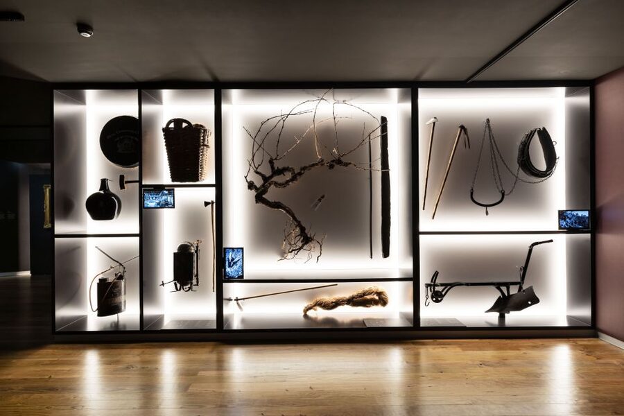 Porto: Museum of the Oldest Appellation in the World Ticket - Value for money in Porto, plus who should go