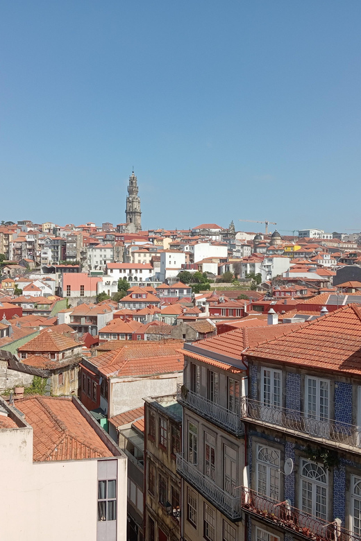 Porto - Old Town Tour with an official guide - Cordoaria’s Garden and the University of Porto, a breathing space