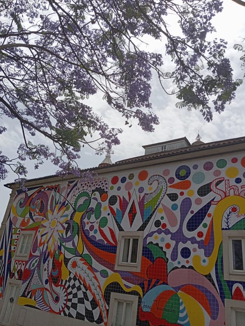Porto - Old Town Tour with an official guide - Price and value: why $29 can make sense for a half-day