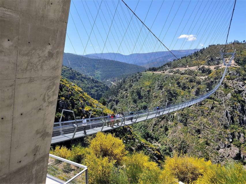Porto: Paiva Walkways and Suspension Bridge Hike with Lunch - Why this Paiva Walkways day trip feels like Portugal, not a checklist