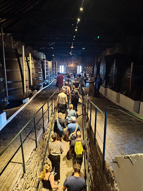 Porto: Port and Douro Wine Walking Tour with 9 Tastings - Key things to know before you go