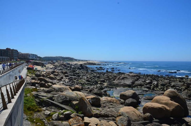 Porto: Porto Bike Atlantic Route - Stop 4: Ovar break, sightseeing, and a one-hour bike window
