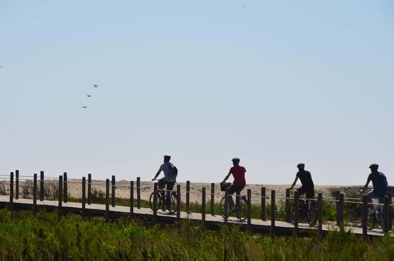Porto: Porto Bike Atlantic Route - Stop 5: the 45-minute train segment that keeps the day fun