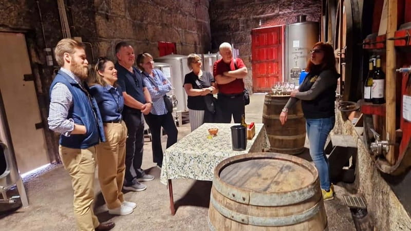 Porto: Premium Douro Valley Small-Group Tour, Cruise & Lunch - Key highlights worth planning for