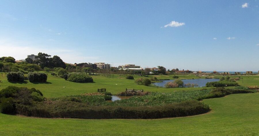 Porto: Private Bike Tour with a Local Guide - Parks and open paths: Porto City Park and Pasteleira Park time