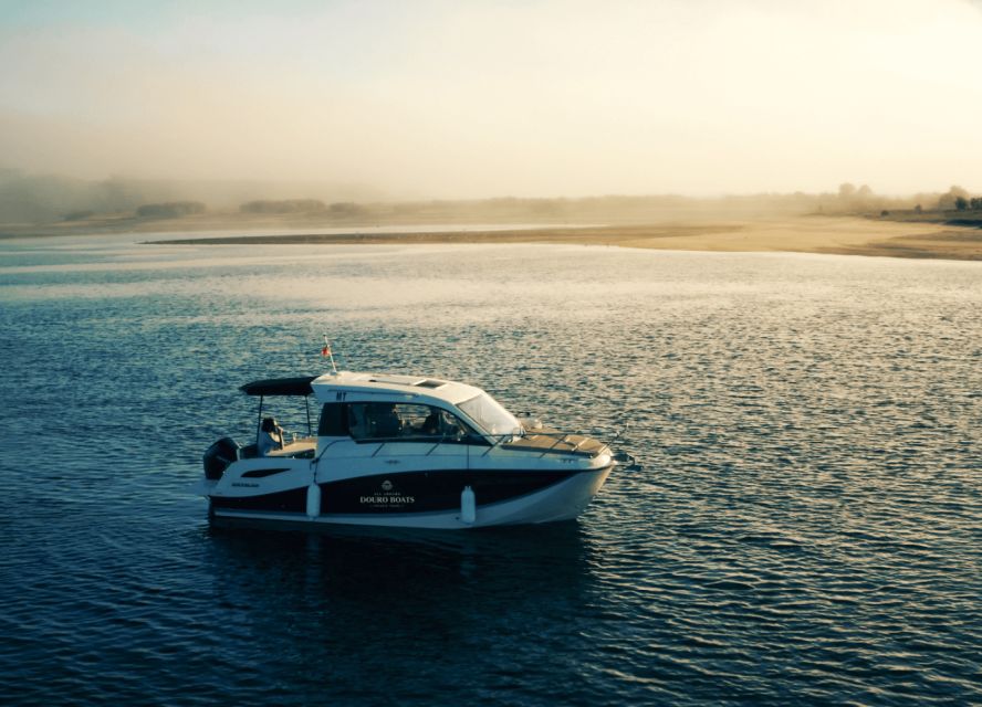 Porto: Private Boat Tour in Douro River - Six bridges, one clean storyline (Porto and Gaia up close)