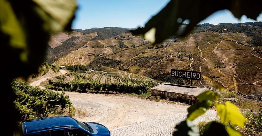 Porto: Private Douro Valley 4x4 Tour with Lunch - Key highlights you will feel right away