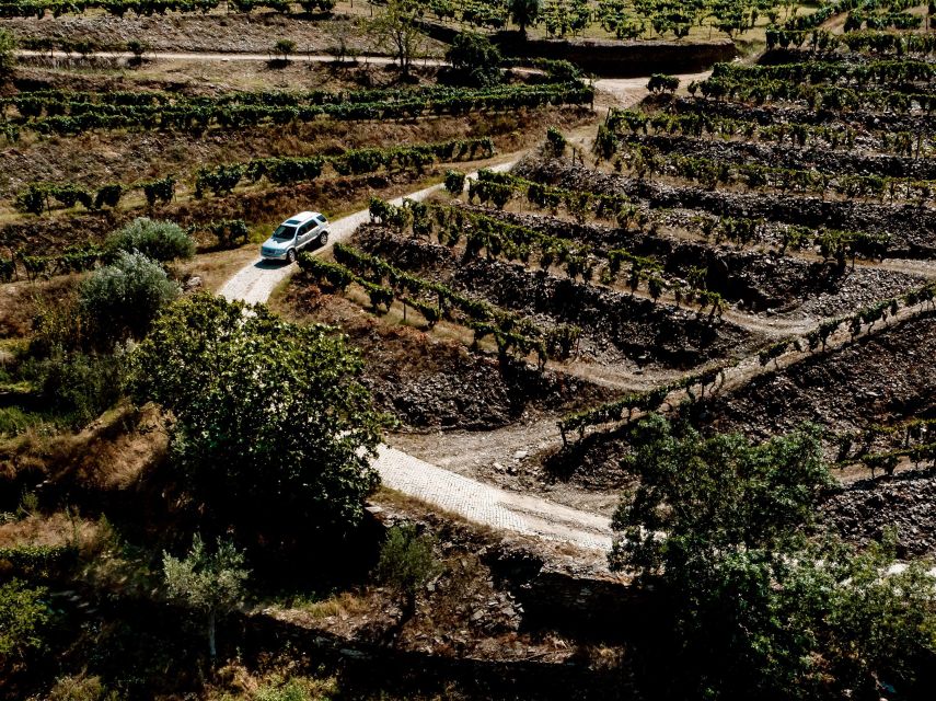 Porto: Private Douro Valley 4x4 Tour with Lunch - Guides, privacy, and why this tour feels personal