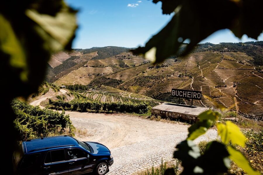 Porto: Private Douro Valley 4x4 Tour with Lunch - Should you book the Porto Private Douro Valley 4x4 Tour with Lunch?
