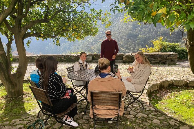 Porto: Private Douro Valley All Inclusive: Tastings, Lunch & Boat - How the pacing fits your day, and what you trade for comfort